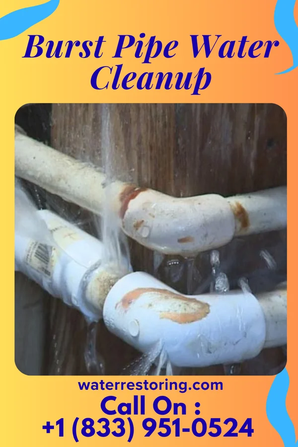 Burst Pipe Water Cleanup in Oakview, MO