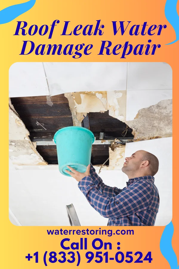 Roof Leak Water Damage Repair in Oakview, MO