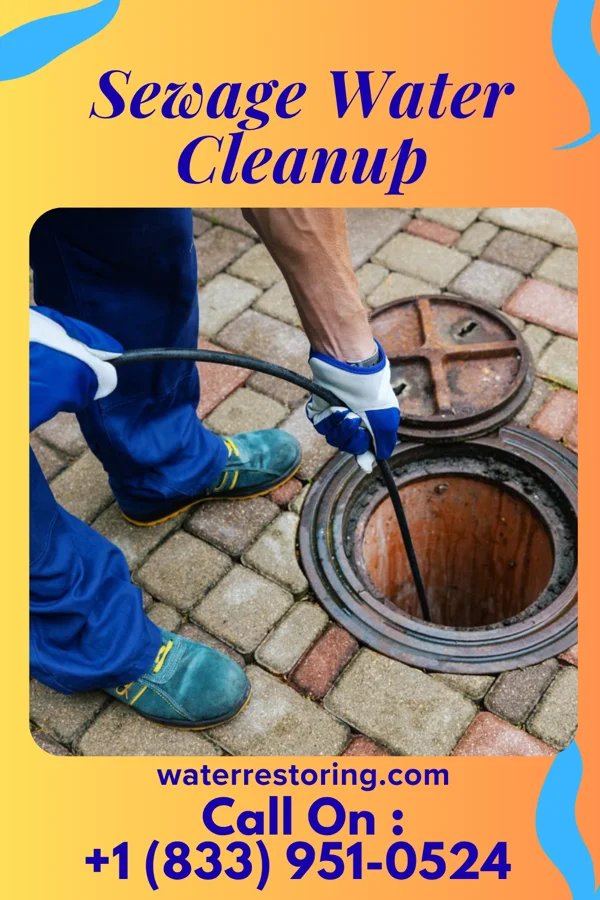 Sewage Water Cleanup in Oakview, MO